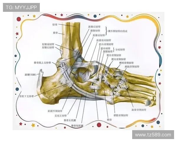 德岛漩涡山越康平外侧踝韧带伤