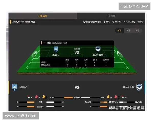 澳超季后赛激战：墨尔本胜利悉尼FC争锋